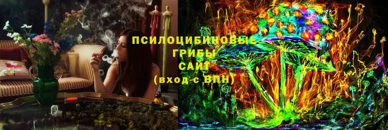 Галлюциногенные грибы мицелий  даркнет сайт  Венёв 